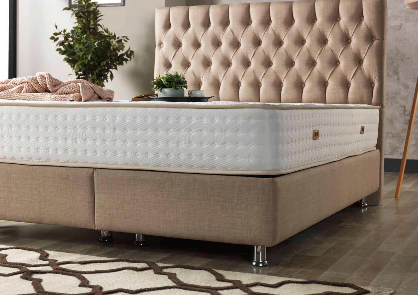 Nevada Base und Kopfteil - Definieren Sie Ihren Raum neu mit innovativem Design - Creme - Ohne Matratze